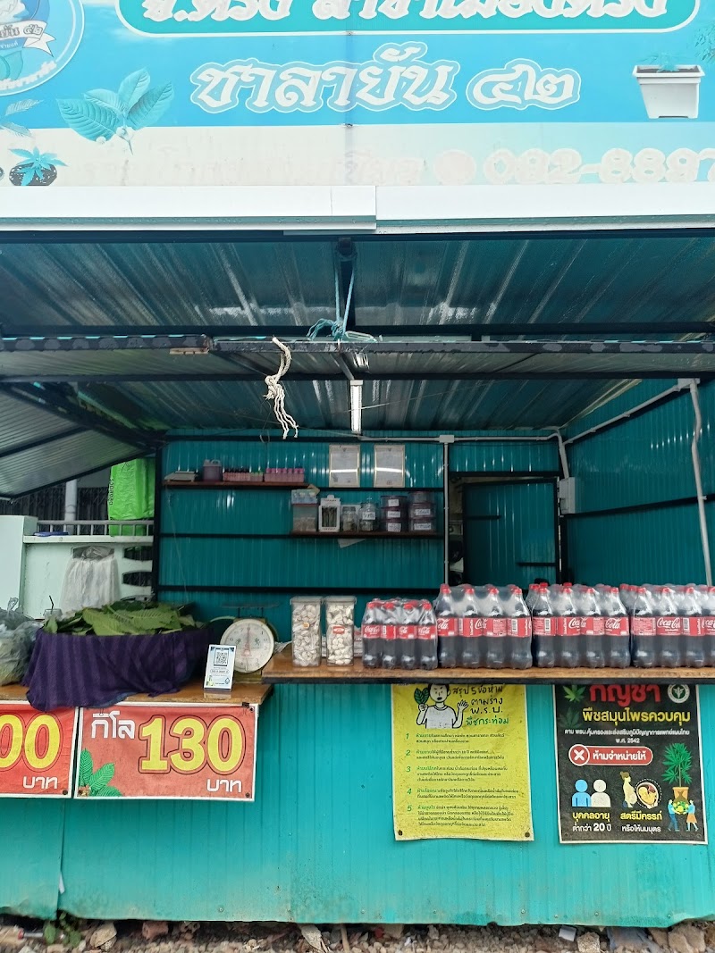 ชาลายัน สาขาเมืองตรัง