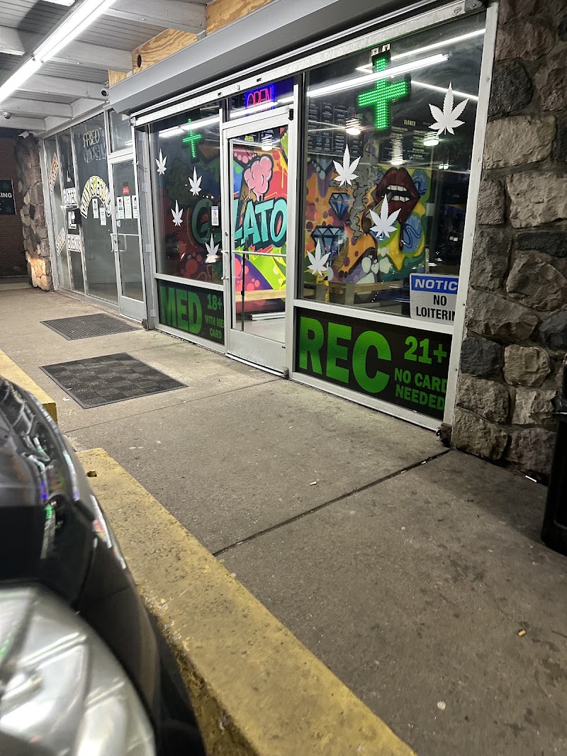 Vibe - The Ultimate Cannabis Experience Vibe - The Ultimate Cannabis Experience