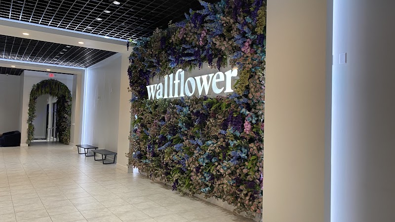 Wallflower Cannabis House Weed Dispensary Las Vegas Wallflower Cannabis House Weed Dispensary Las Vegas