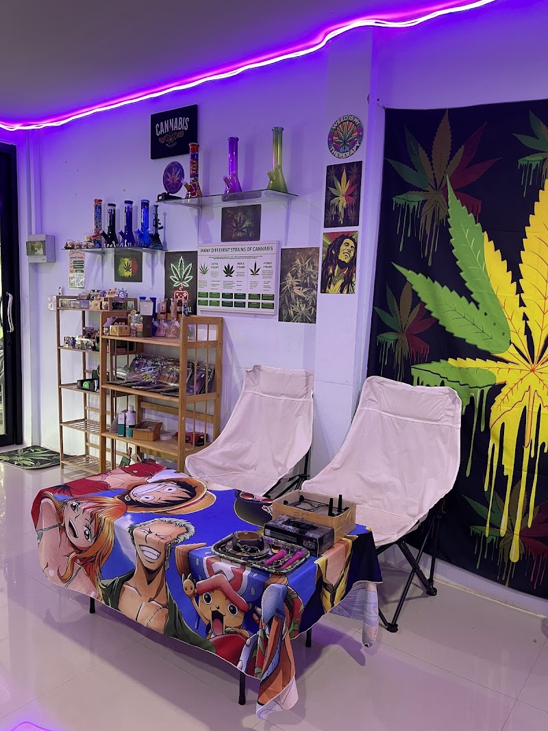 WAVE CANNABIS SHOP WAVE CANNABIS SHOP