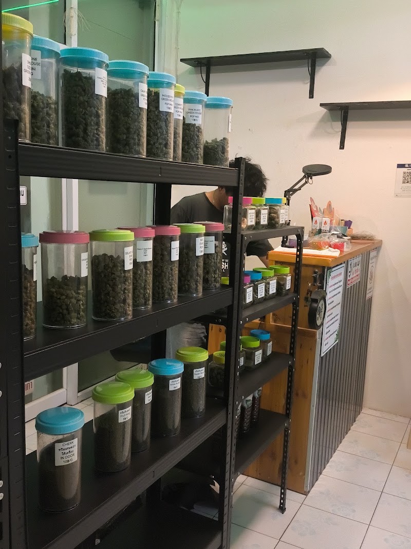 WEED BOY
