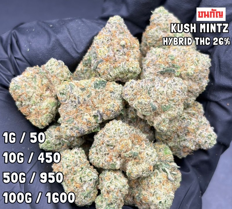 กัญชาใกล้ฉัน Weed Cannabis.shop