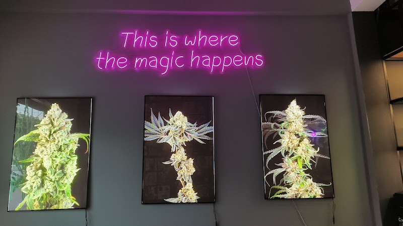 Weed Castle Asiatique - Cannabis Weed Dispensary