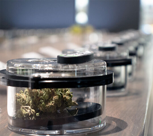 WEED DELIVERY & DGC DIISPPATCHH LOS ANGELES RECREATIONAL DISPENSARY WEED DELIVERY & DGC DIISPPATCHH LOS ANGELES RECREATIONAL DISPENSARY