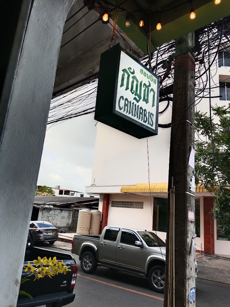 Weed Hatyai Cannabis Hop Bis Coffee Shop