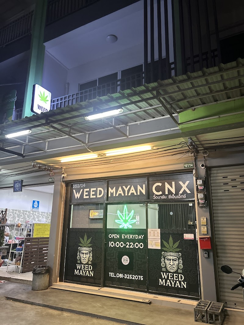 Weed Mayan CNX | Cannabis Store, Weed Shop & Dispensary Chiang Mai Weed Mayan CNX | Cannabis Store, Weed Shop & Dispensary Chiang Mai