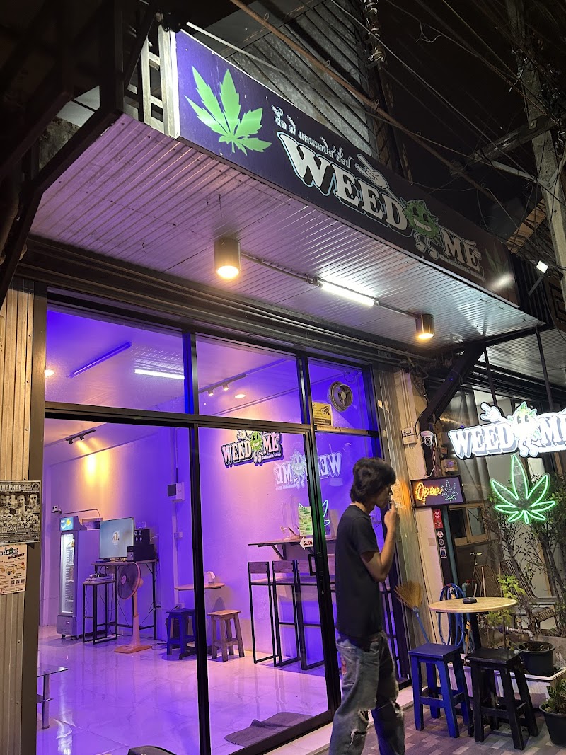 WEED ME Cannabis shop cnx