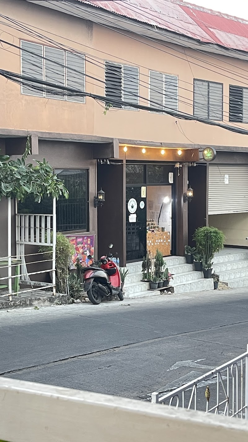 WEED SHOP | Canabis | ร้านกัญชา
