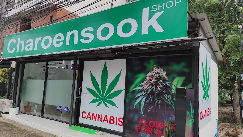 Weed Shop Charoensook Weed Shop Charoensook