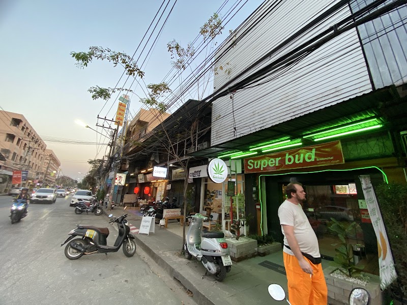 Weed Shop Superbud @Sridonchai - Cannabis dispensary 大麻 конопля Weed Shop Superbud @Sridonchai - Cannabis dispensary 大麻 конопля