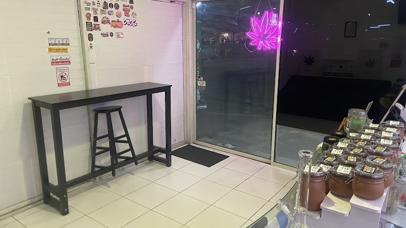 Weed Shop - Weed U ร้านกัญชา Cannabis Store Chiang Mai