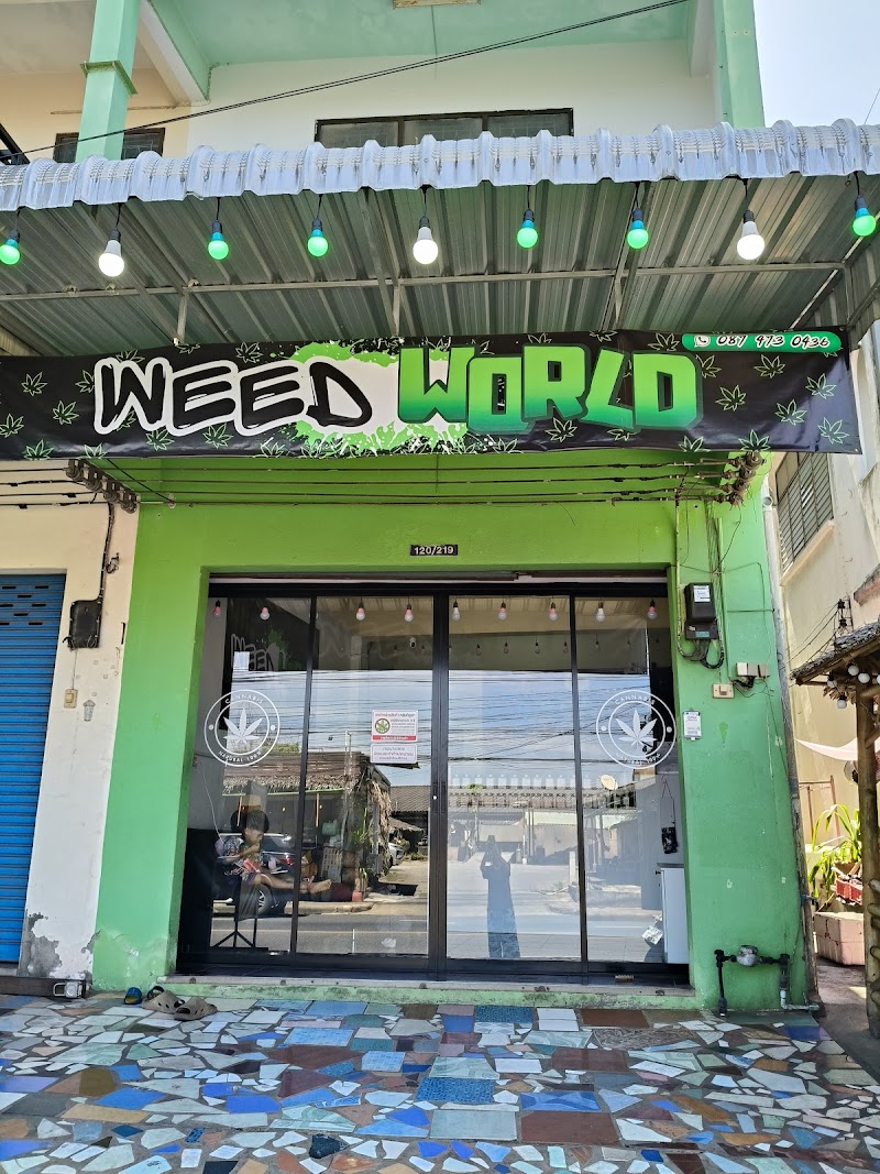 WEED WORLD Surat Thani WEED WORLD Surat Thani