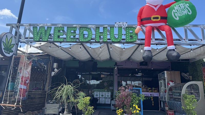 Weedhub Samui Weedhub Samui