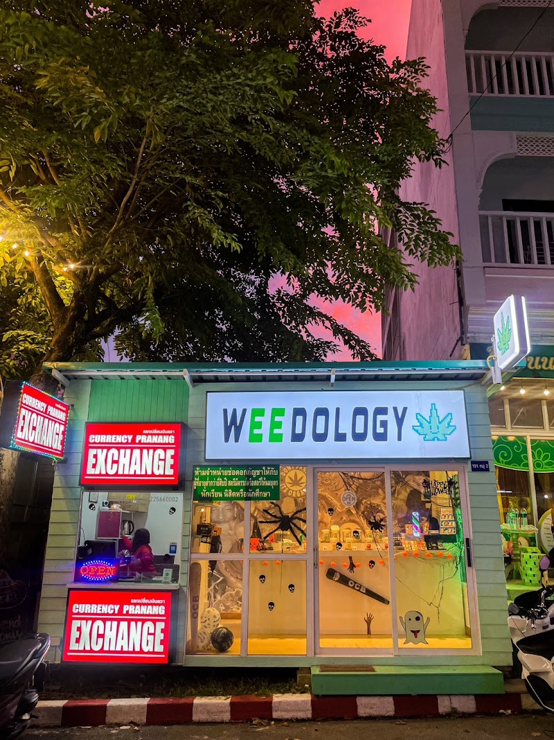 Weedology Cannabis Culture Aonang Weedology Cannabis Culture Aonang