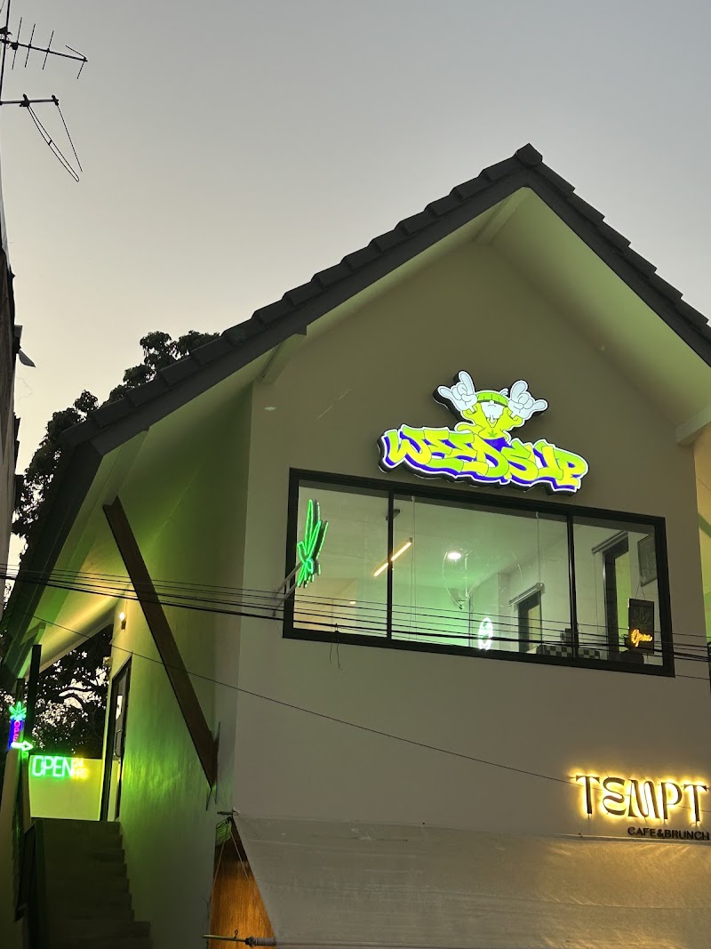 WeedSup CNX – Weed Shop 24 hr. ร้านกัญชา 24 ชั่วโมง | Chiang Mai