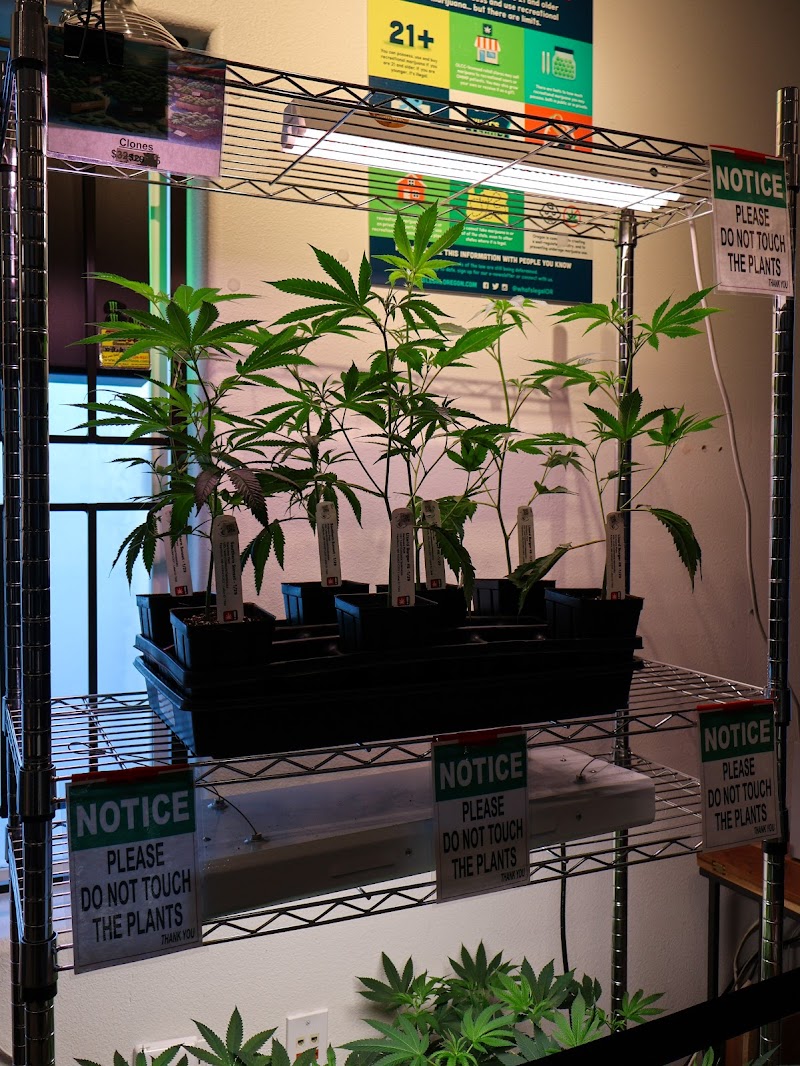 Western Oregon Dispensary - Hillsboro Western Oregon Dispensary - Hillsboro