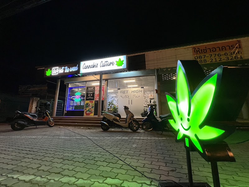 What The Weed Cannabis Culture