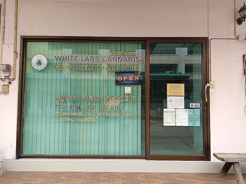 White Labs Cannabis Sriracha Chonburi indoor farm direct dispensary
