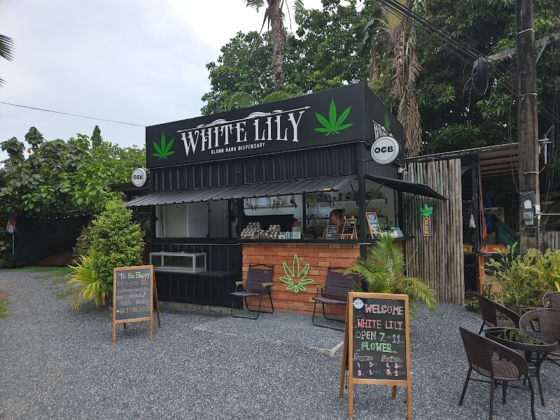 WHITE LILY cannabis dispensary & weed shop klong hang krabi WHITE LILY cannabis dispensary & weed shop klong hang krabi
