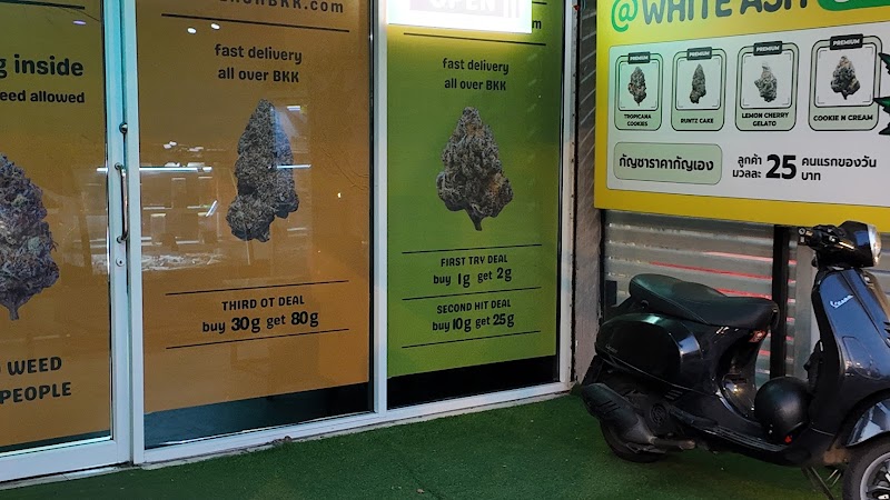 WhiteAshBkk weed Wholesale retail club กัญชา WhiteAshBkk weed Wholesale retail club กัญชา