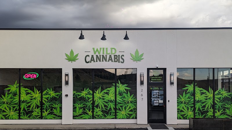 Wild Cannabis Wild Cannabis