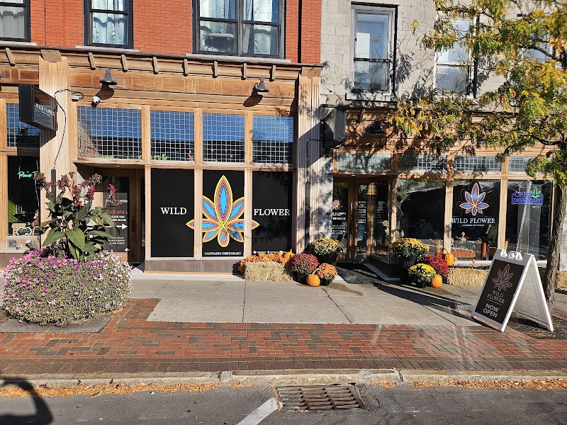 Wild Flower Dispensary Wild Flower Dispensary