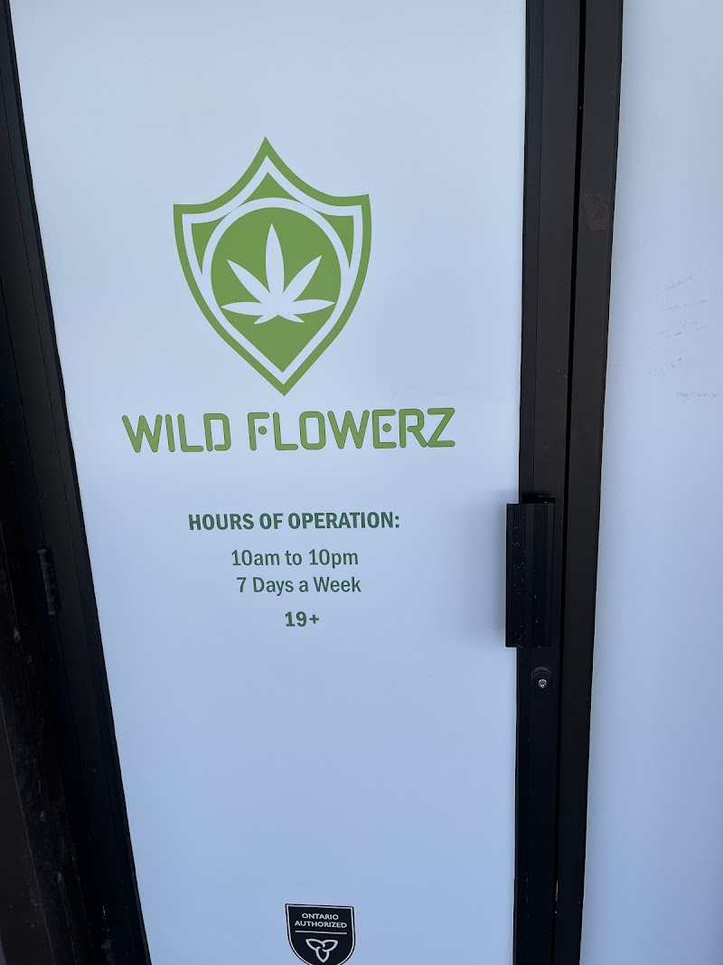 Wild Flowerz Wild Flowerz