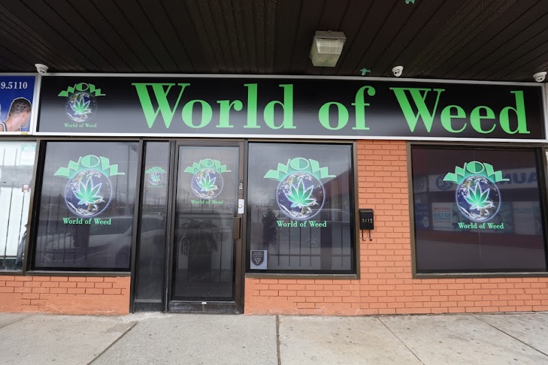 WOW World of Weed - Cannabis Store WOW World of Weed - Cannabis Store