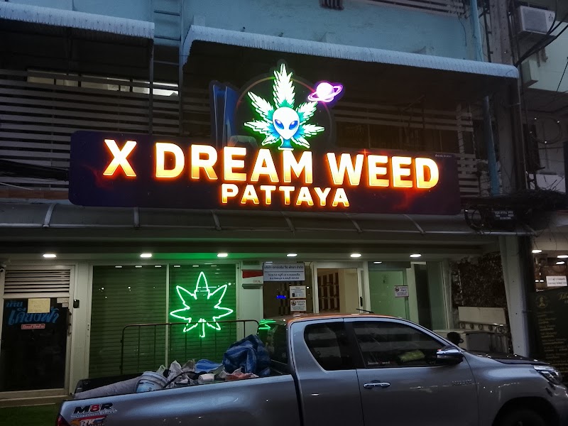 X Dream Weed Pattaya – Best Medical Cannabis Shop