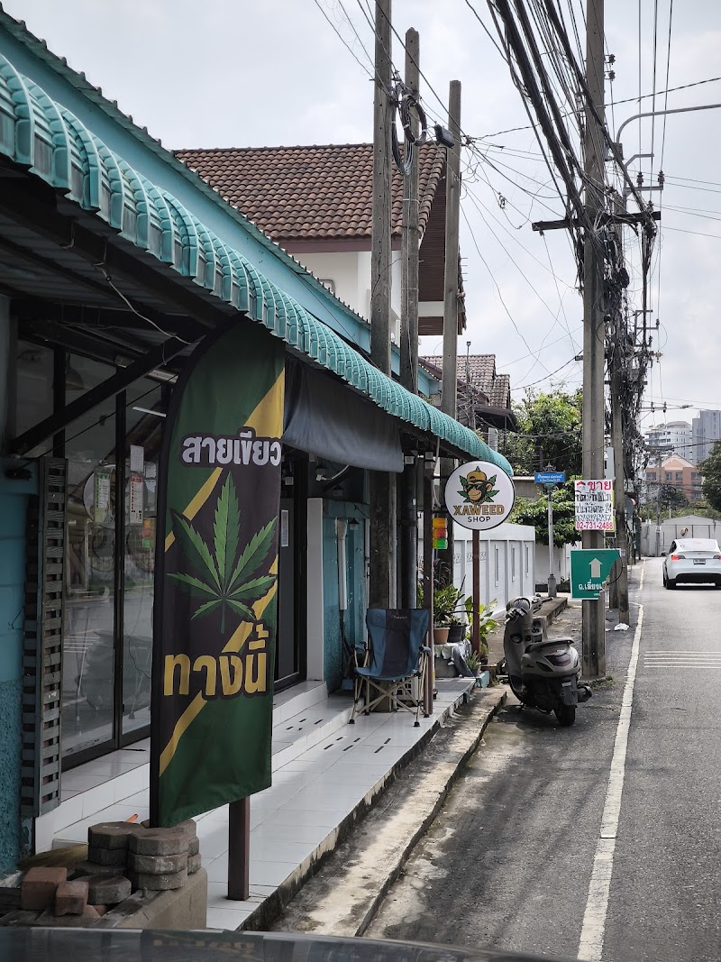 XAWEED SHOP XAWEED SHOP