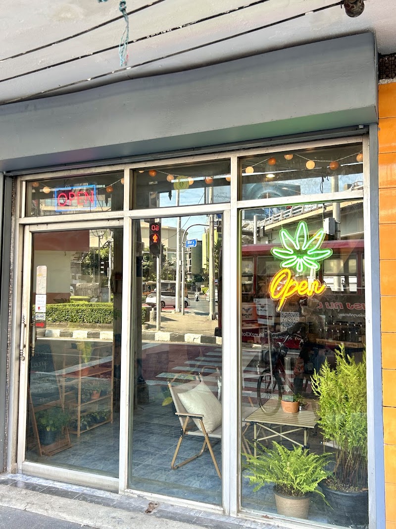 Y Si Cannabis Dispensary