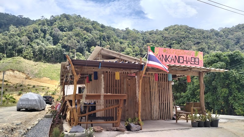 YanKanCha99(ยันกัญช์จ้ะ99) YanKanCha99(ยันกัญช์จ้ะ99)