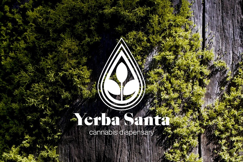 Yerba Santa Yerba Santa