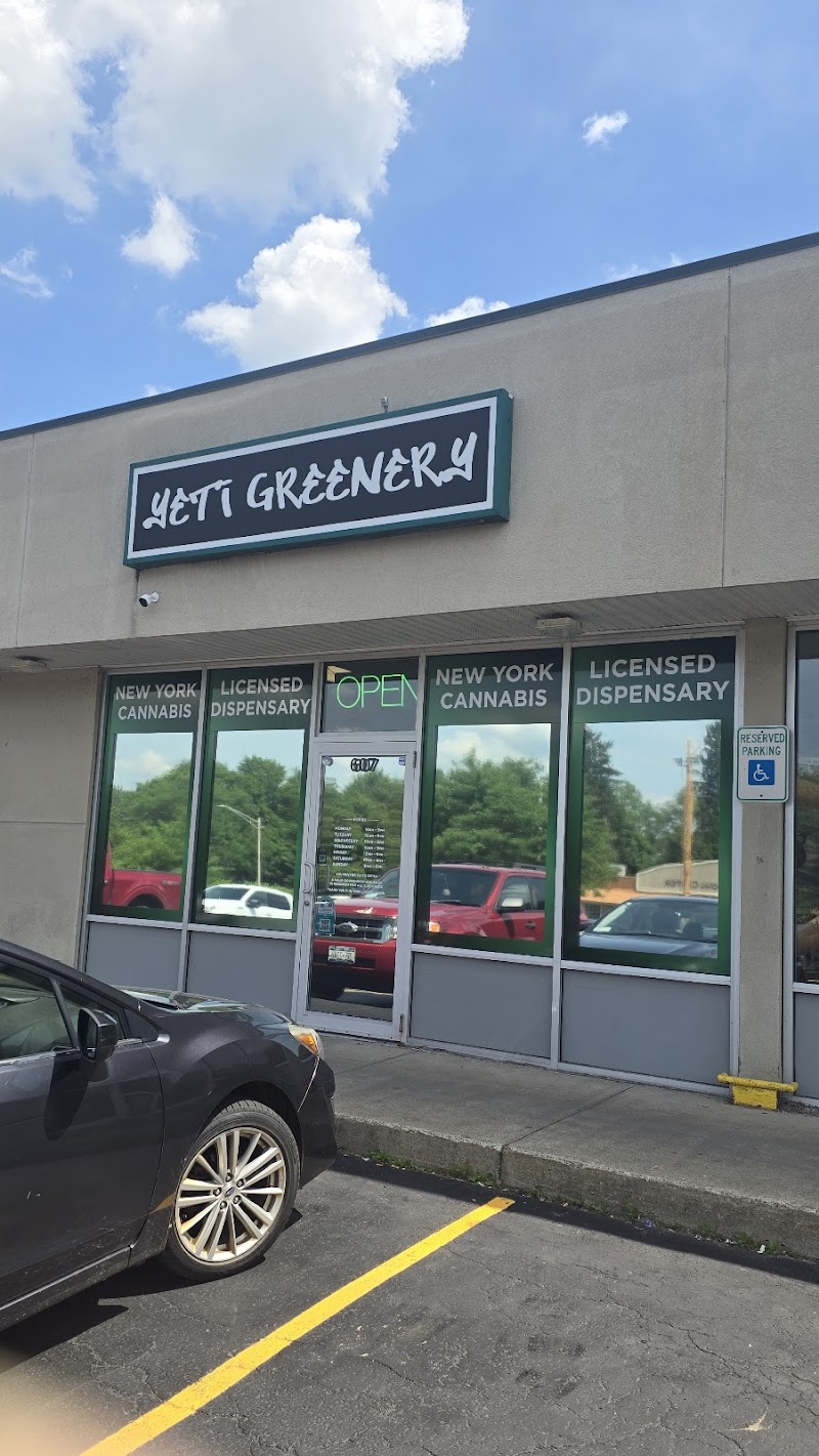 Yeti Greenery Yeti Greenery