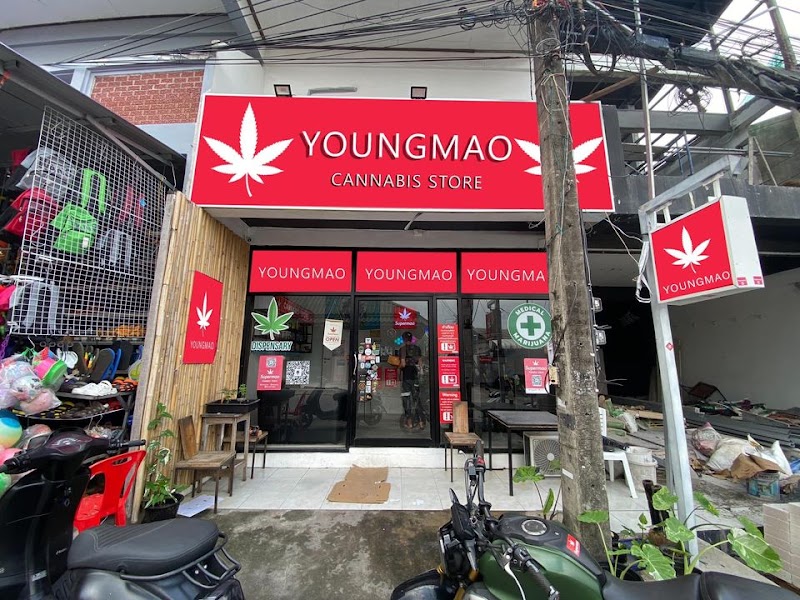 Youngmao koh tao Youngmao koh tao