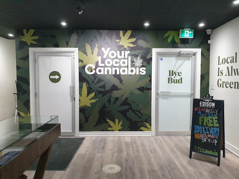 Your Local Cannabis