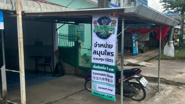 Zenleafshop5