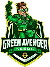 gav logo final 1