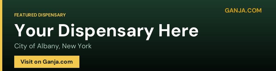 Example banner for City of Albany